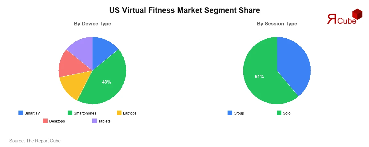 US Virtual Fitness Market Segment Share US Virtual Fitness Market Segment-wise Analysis