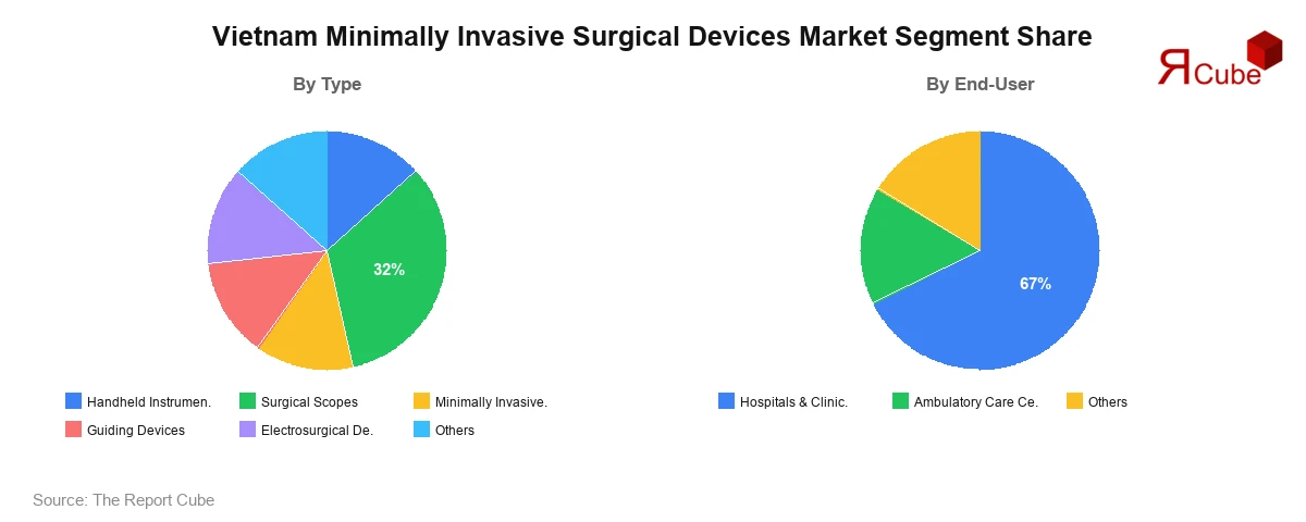 Vietnam Minimally Invasive Surgical Devices Market Segment-wise Analysis