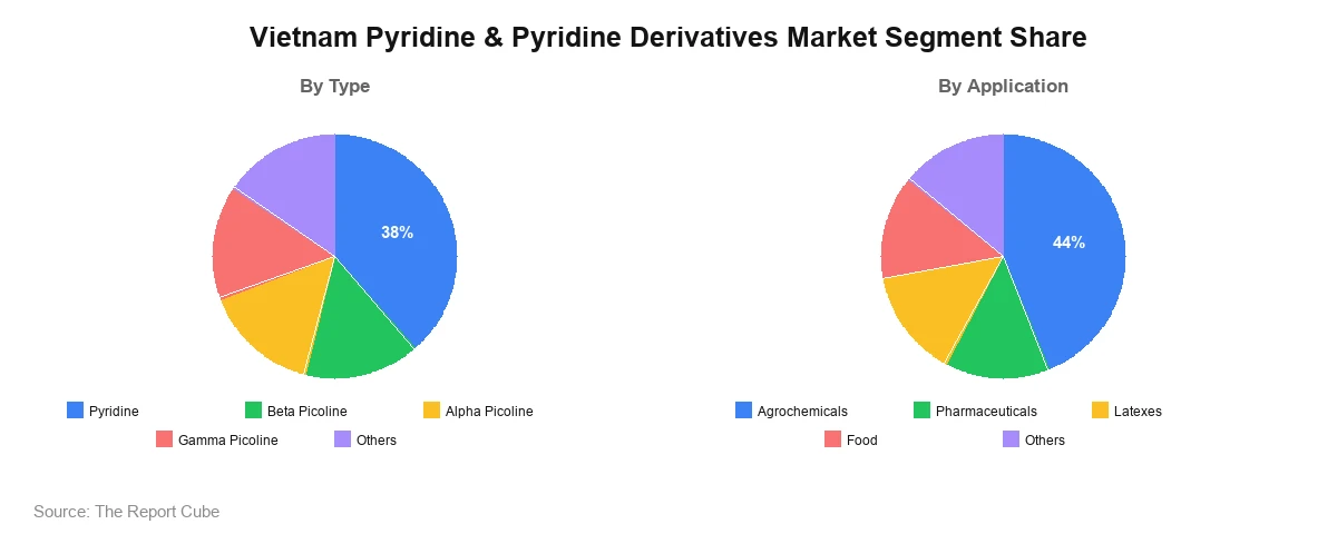 Vietnam Pyridine & Pyridine Derivatives Market Segment Vietnam Pyridine & Pyridine Derivatives Market Segment-wise Analysis